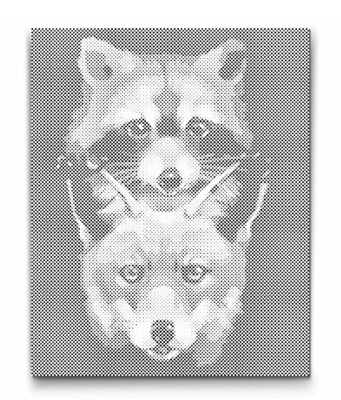 Bedste venner prikmaleri – vaskebjørn og ræv i dot art