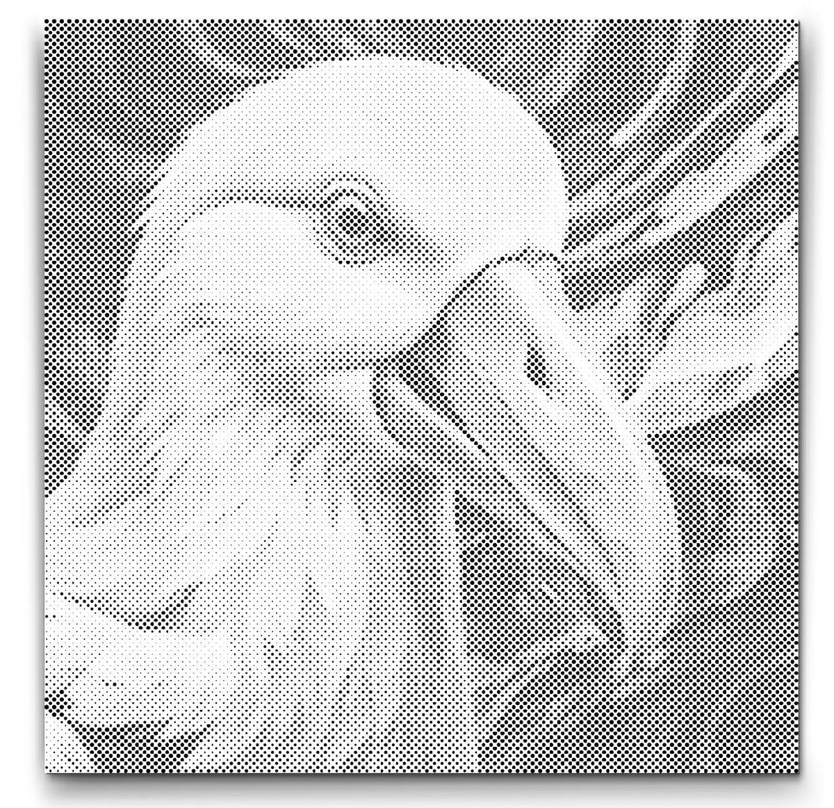 Albatros | Mal Med Prikker som færdigt mal med prikker motiv