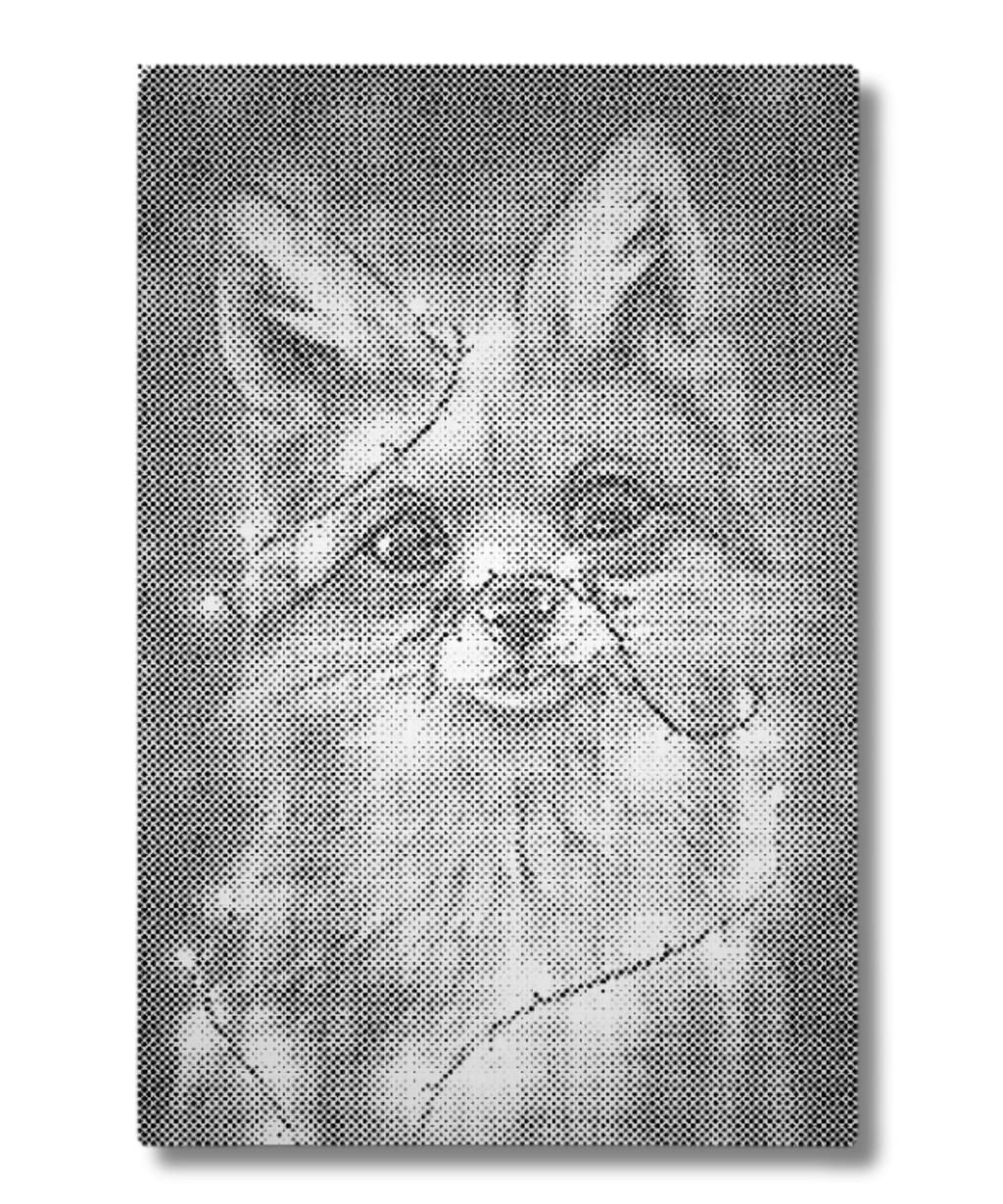 mal med prikker rævemotiv